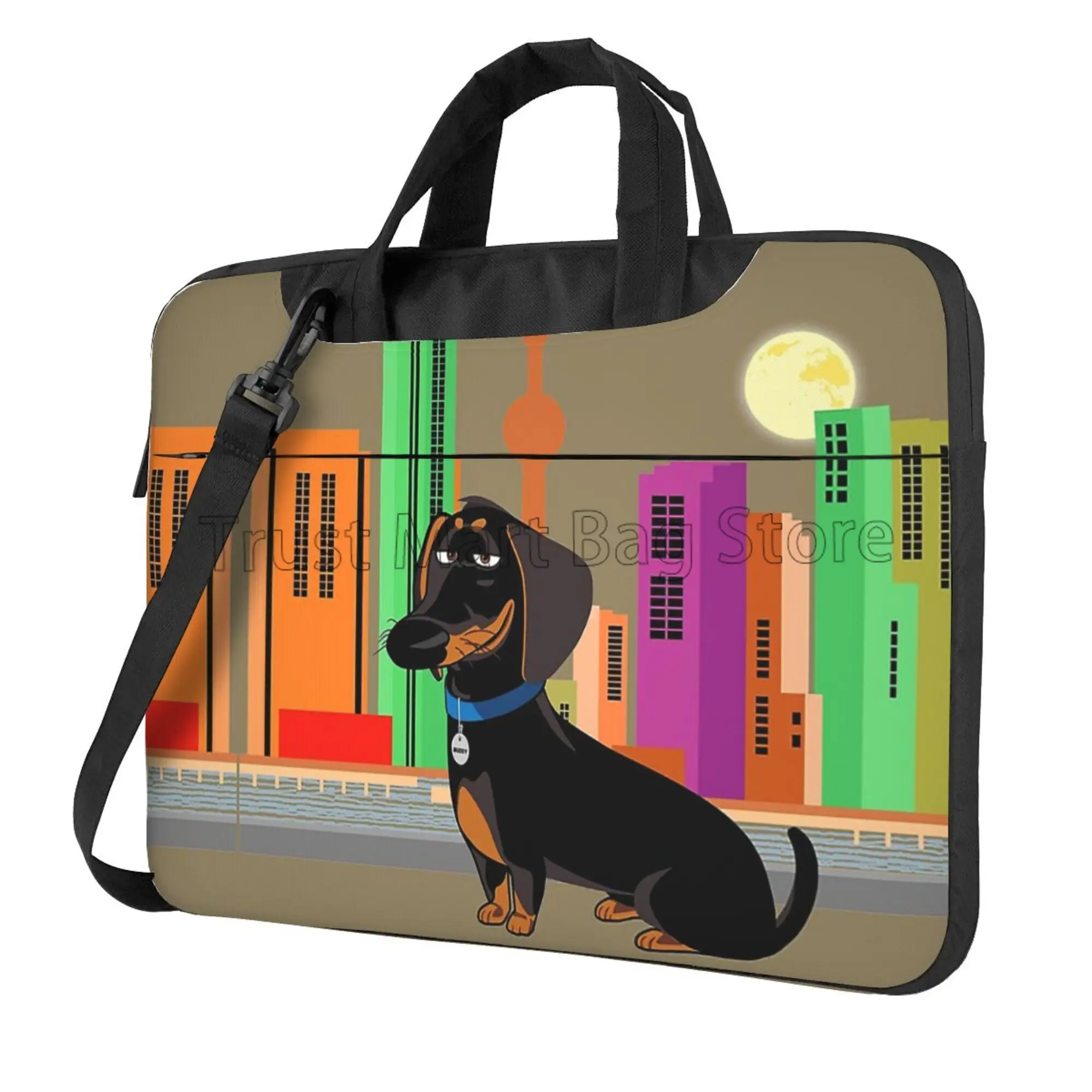 Bolsa de transporte con estamp - Boox Tablet Accessories reseña y precio